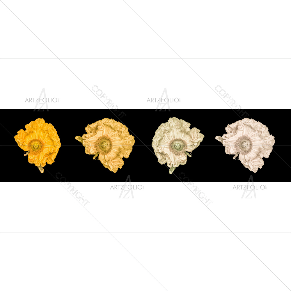 Still Life Macro Flowers — Botanical custom art by ArtzFolio