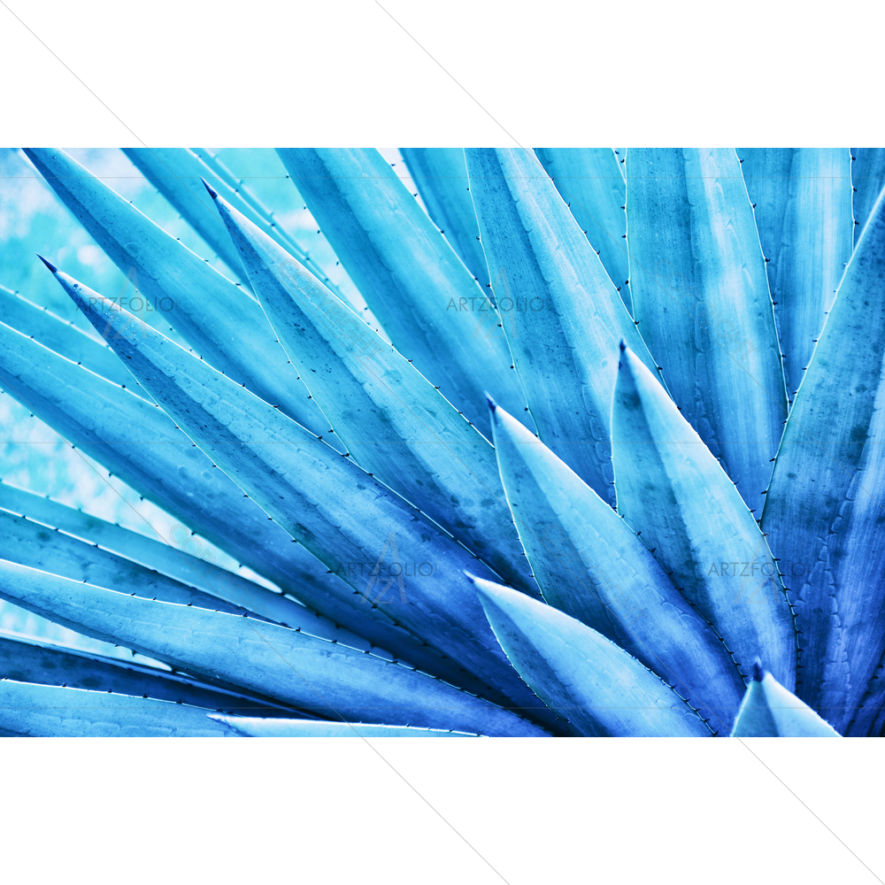 Blue Toned Thorn Leaf — custom-size art design 5014611