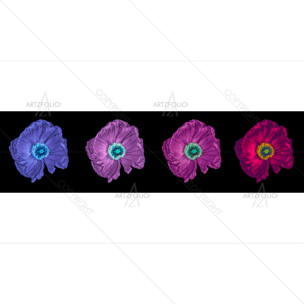 Still Life Poppy Blossoms — Botanical custom art by ArtzFolio