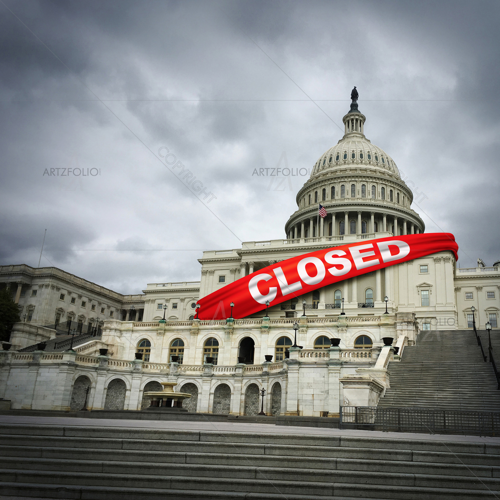 3D USA Shutdown D1 — custom-size art design 5014636