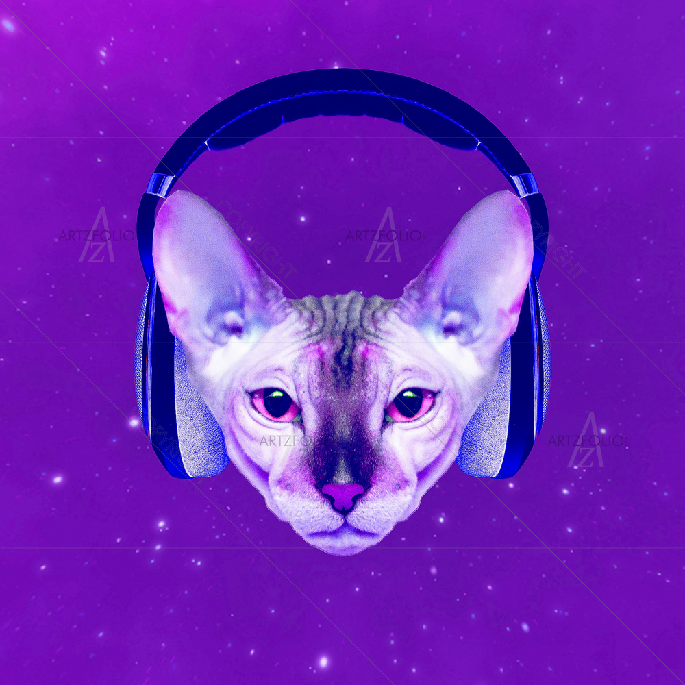 Space Cat Dj — custom-size art design 5014660