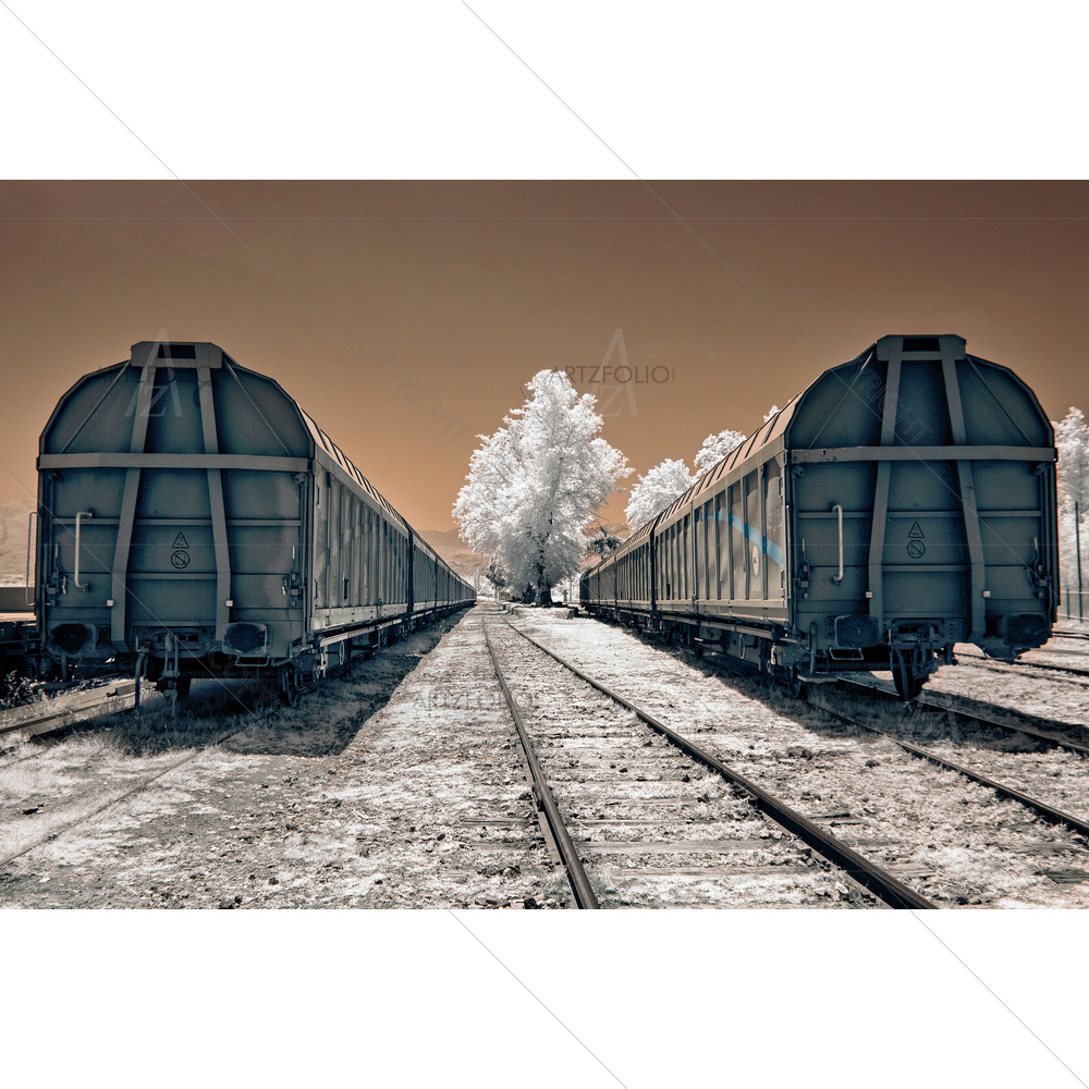 Train Wagons at Station — custom-size art design 5014691