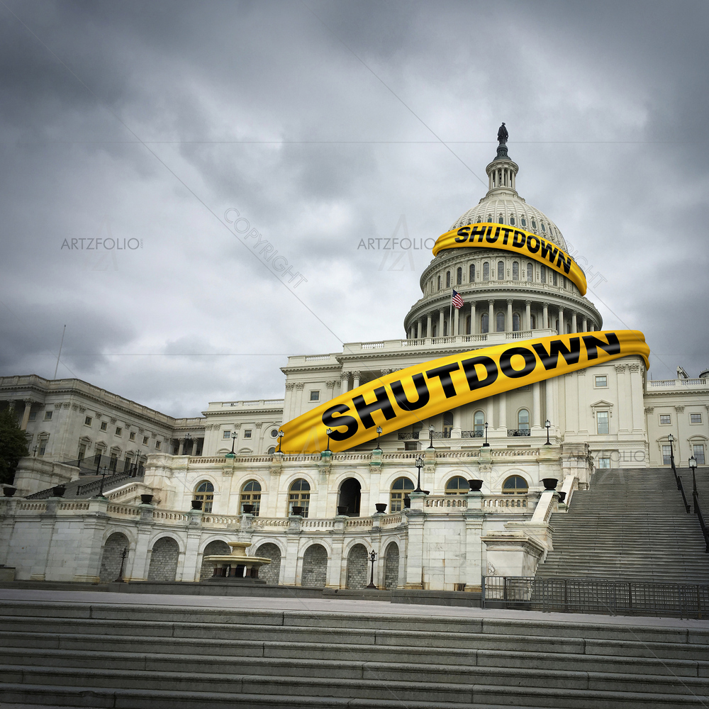 3D USA Shutdown D2 — American custom art by ArtzFolio
