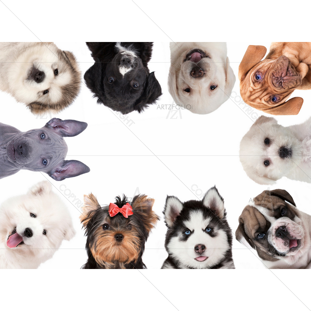 Baby Dogs — Devotional custom art by ArtzFolio
