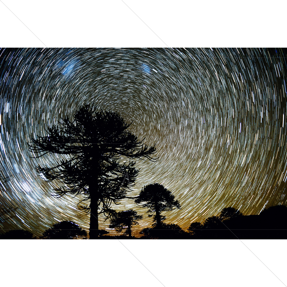 Nightscape Circumpolar Startrails — Abstract custom art by ArtzFolio
