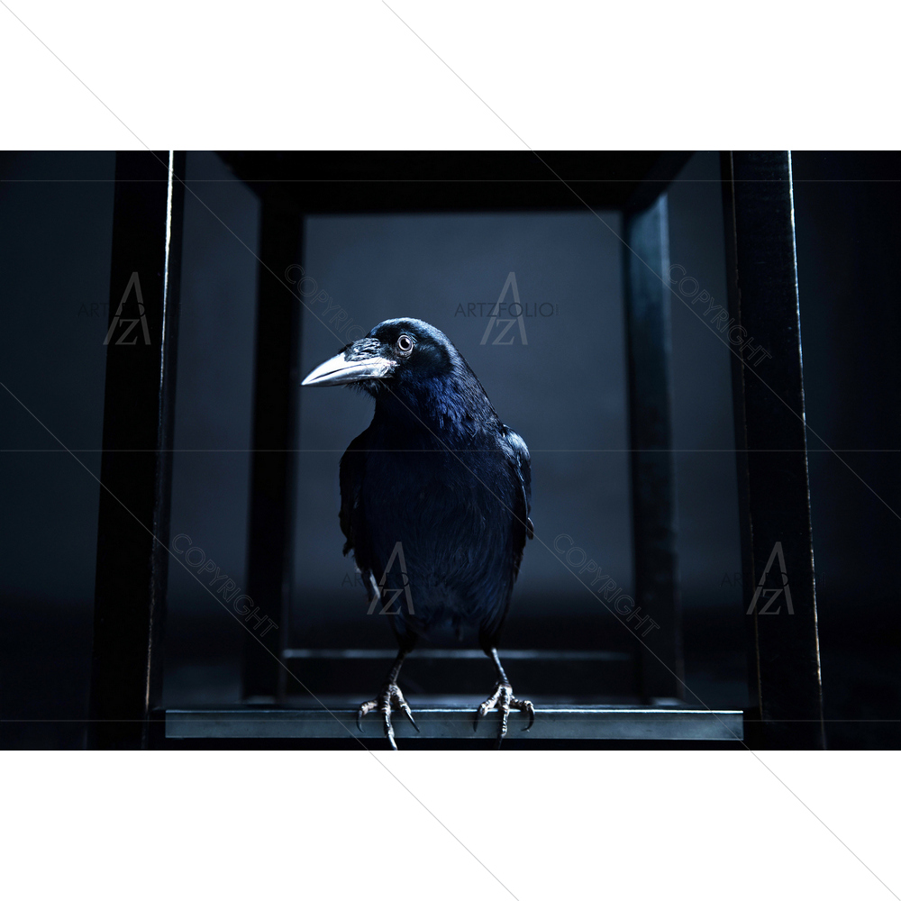 Raven Bird Portrait — Devotional custom art by ArtzFolio