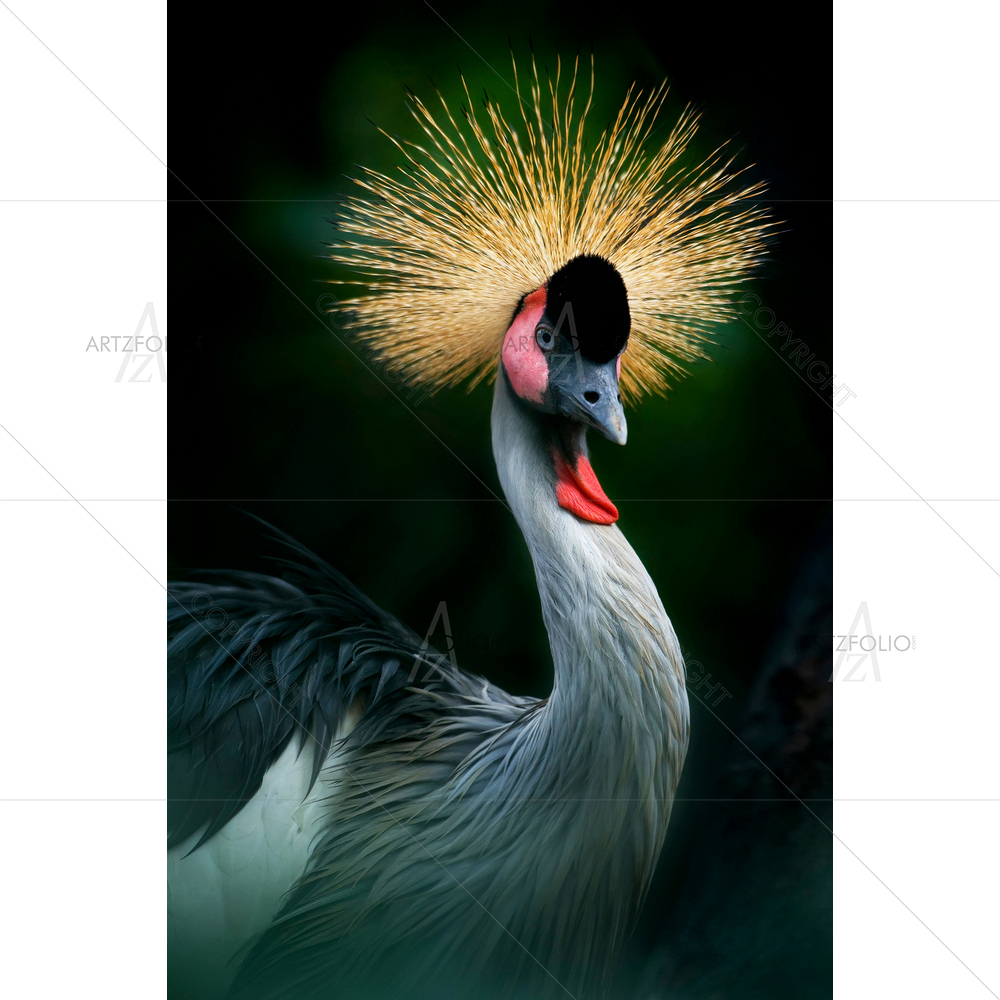 Jenjang Mahkota, Africa — custom-size art design 5014993